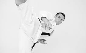 Image result for Taunton Karate Jutsu