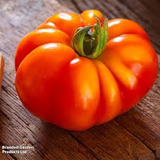 Afbeeldingsresultaat voor marmande jaune tomato