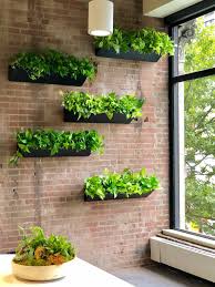 Image result for living wall