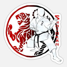 Image result for Shotokan Karate