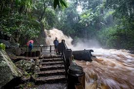 「Mt. Tamborine」的圖片搜尋結果