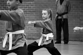 Image result for Shaolin Nam Pai Chuan Kung Fu - Manchester Martial Arts Centre