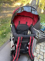 Znalezione obrazy dla zapytania chicco