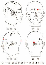 「藤原泰衡」の画像検索結果