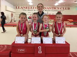 Image result for Haverfordwest Gymnastics Club
