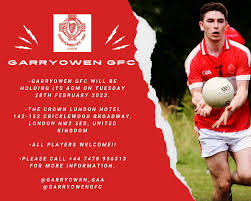 Image result for Garryowen Gfc