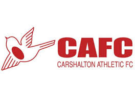 Image result for Carshalton Scrabble Club