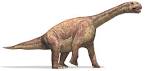 Dinosaur directory: Camarasaurus | Science | The Guardian