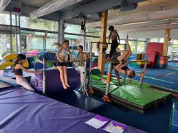 Image result for Little Tricks Gymnastics - Pre-School and Play Gym