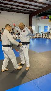 Image result for Ju Jitsu Tavistock