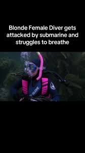 Image result for Exe To Sea Diving