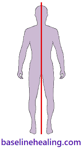 Image result for body midline