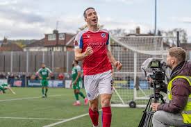 Image result for Dorking Wanderers F C