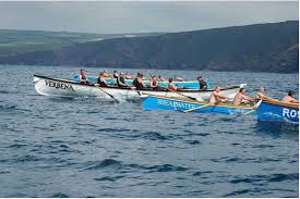 Image result for Appledore Badminton Club