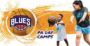 Image result for Scarborough Seahawks Basketball Club