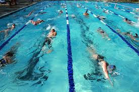 Image result for Selby Tiger Sharks Swimming Club