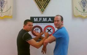 Image result for Southgate T`ai Tsung Kung Fu Association