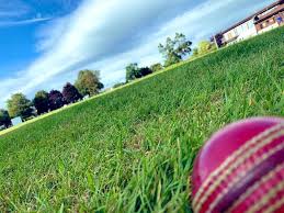 Image result for Croesyceiliog Cricket Club