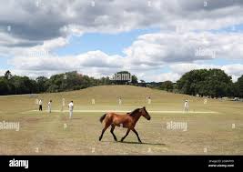 Image result for Lyndhurst Cricket Club