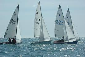 Image result for Dovey Yacht Club