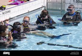 Image result for The London No 1 Diving Club