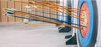 Image result for Surrey Bowmen