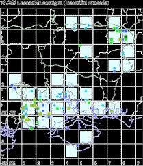 Attēlu rezultāti vaicājumam “Lacanobia contigua larva”