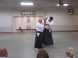 Image result for Aikido - Shobu UK (Newton in furness)