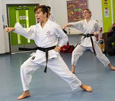 Image result for Fighting Arts Organisation of Great Britain