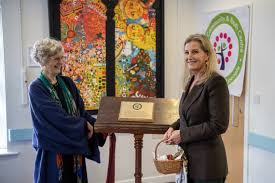 Image result for Farnham Youth Project