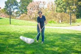 Image result for Exploratorium%20bubble