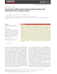 Attēlu rezultāti vaicājumam “Stemonitopsis typhina stalked”