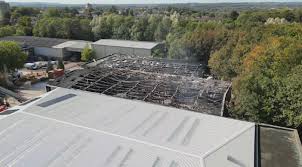 Image result for Swindon Flames