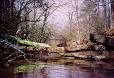 Crabtree Creek - NC | Kayak Trip / Canoe Trip Paddling.