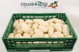 Image result for Rettich