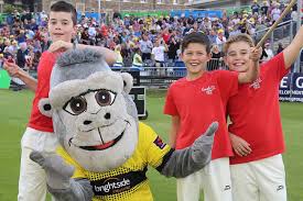 Image result for Knowle Bowls Club