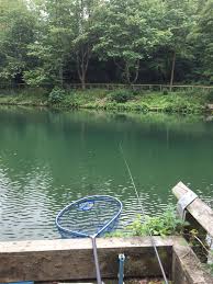 Image result for Bathampton Angling Association