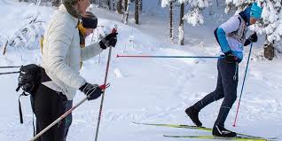 Image result for Scandinavian slope and cross country skiing