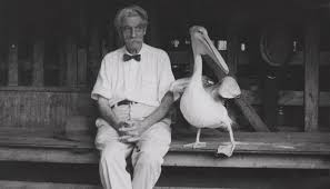 Image result for albert schweitzer