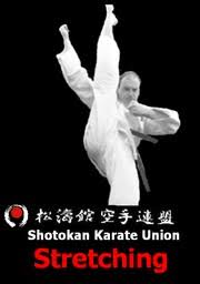 Image result for Shotokan Karate Union