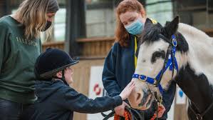 Image result for Riding For The Disabled