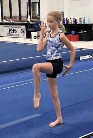 Image result for Focus Institute of Gymnastics