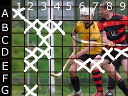 Image result for Lochcarron Camanachd