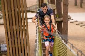 Image result for Go Ape! Moors Valley