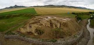 Attēlu rezultāti vaicājumam “Geocrypta galii”