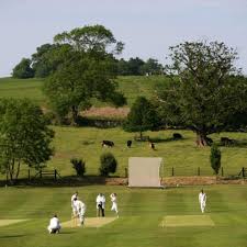 Image result for South Weald Cricket Club