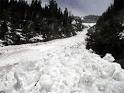 the Stevens Pass avalanche