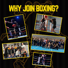 Image result for York University Boxing Club