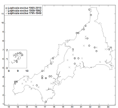 Attēlu rezultāti vaicājumam “Lophozia excisa”