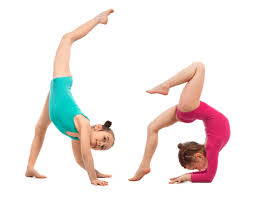 Image result for L&G Acrobatic Gymnastics Club